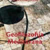 Geofilozofija Mediterana